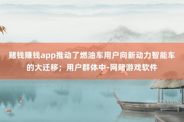 赌钱赚钱app推动了燃油车用户向新动力智能车的大迁移；用户群体中-网赌游戏软件