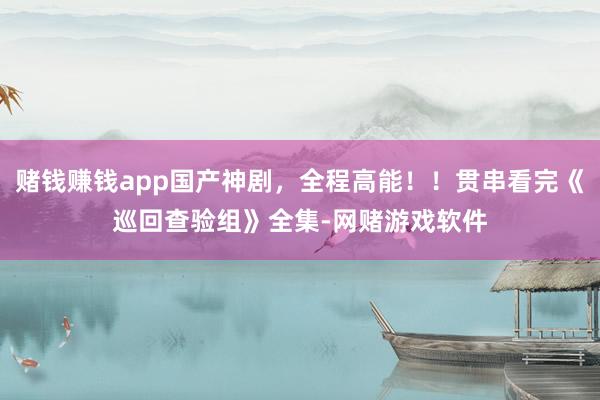 赌钱赚钱app国产神剧，全程高能！！贯串看完《巡回查验组》全集-网赌游戏软件