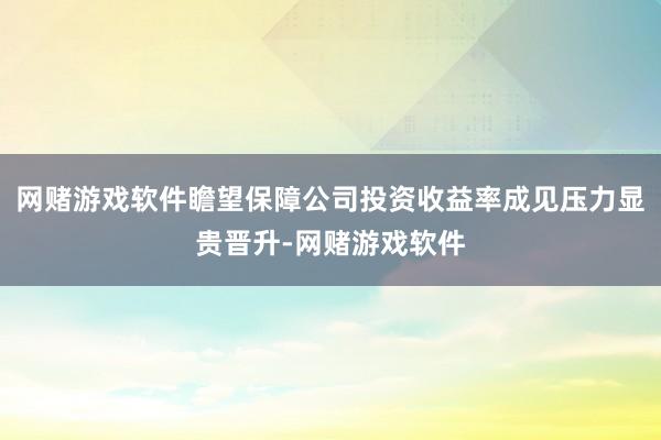 网赌游戏软件瞻望保障公司投资收益率成见压力显贵晋升-网赌游戏软件