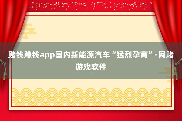 赌钱赚钱app国内新能源汽车“猛烈孕育”-网赌游戏软件