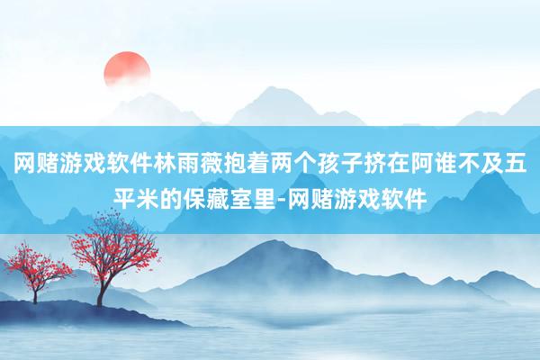 网赌游戏软件林雨薇抱着两个孩子挤在阿谁不及五平米的保藏室里-网赌游戏软件