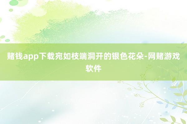 赌钱app下载宛如枝端洞开的银色花朵-网赌游戏软件