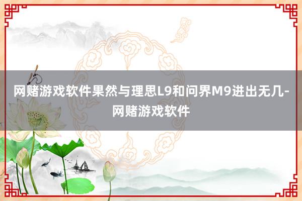 网赌游戏软件果然与理思L9和问界M9进出无几-网赌游戏软件