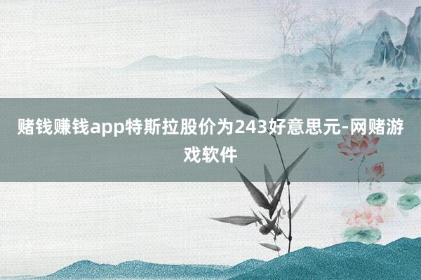 赌钱赚钱app特斯拉股价为243好意思元-网赌游戏软件