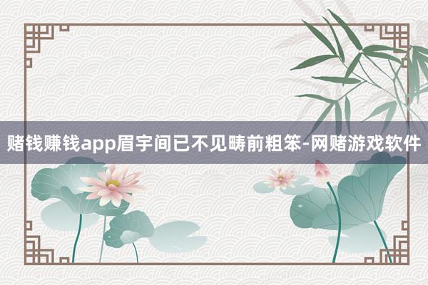 赌钱赚钱app眉宇间已不见畴前粗笨-网赌游戏软件