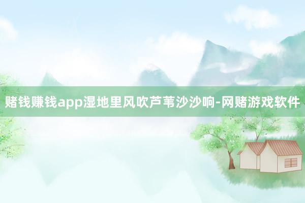 赌钱赚钱app湿地里风吹芦苇沙沙响-网赌游戏软件