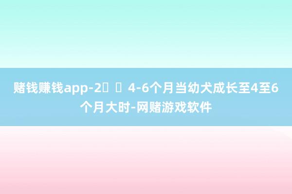 赌钱赚钱app-2️⃣4-6个月当幼犬成长至4至6个月大时-网赌游戏软件