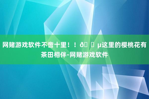 网赌游戏软件不啻十里！！🍵这里的樱桃花有茶田相伴-网赌游戏软件